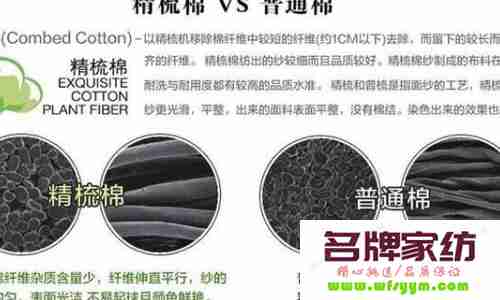 精梳棉和普梳棉有哪些区别 精梳棉和普梳棉有哪些区别图片
