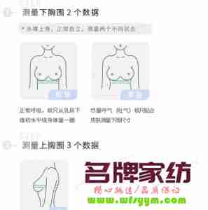 胸围怎么测量ABCD杯 胸围咋测abc